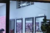 A crop of the salon’s bright interior with mirrors and leafy plants.